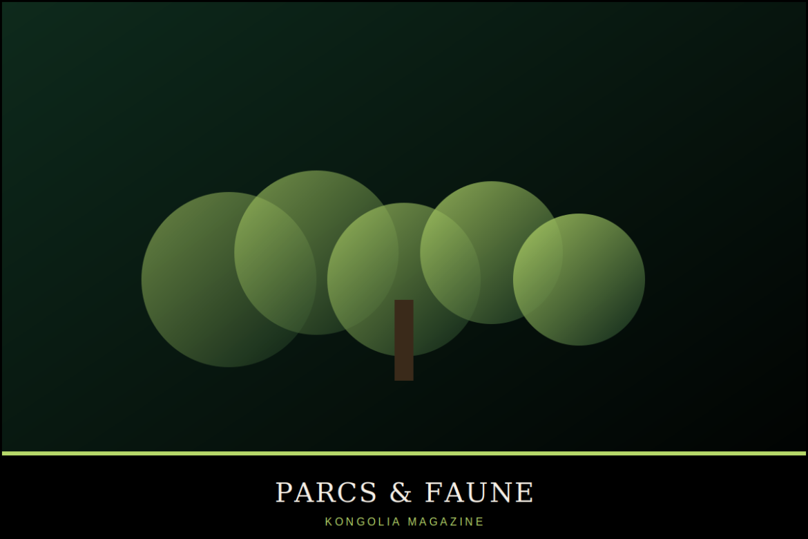 Illustration stylisée d'un éléphant de forêt marchant entre les arbres d'une forêt dense, style affiche naturaliste.