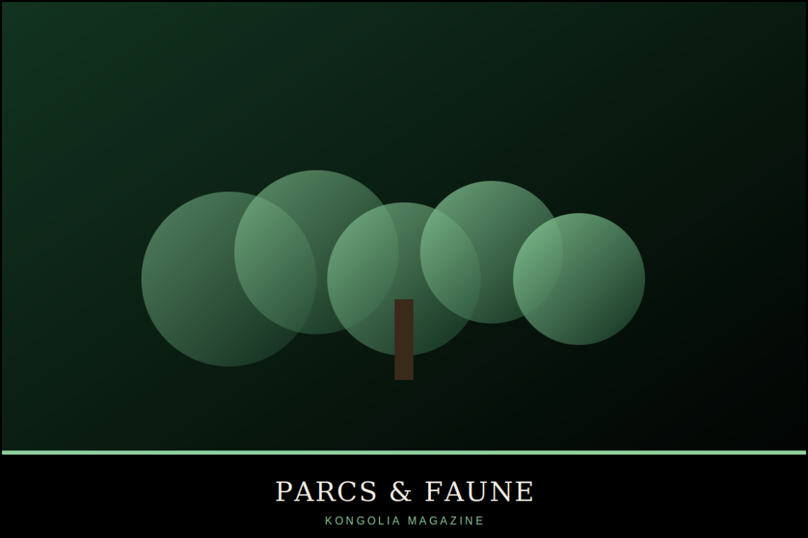 Illustration stylisée d'un lagon de mangrove au coucher du soleil avec des oiseaux échassiers parmi les palétuviers.