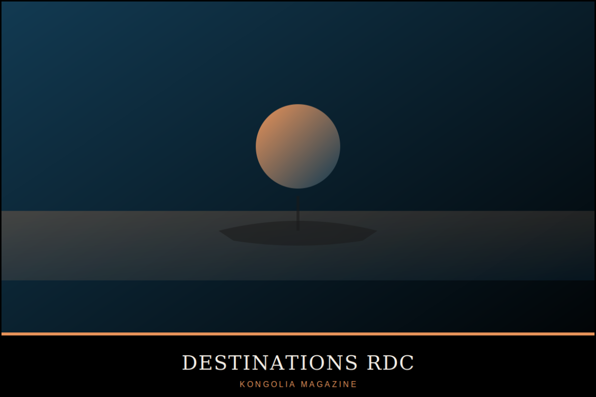 Illustration graphique stylisée d'une tortue marine remontant une plage de nuit sous les étoiles.